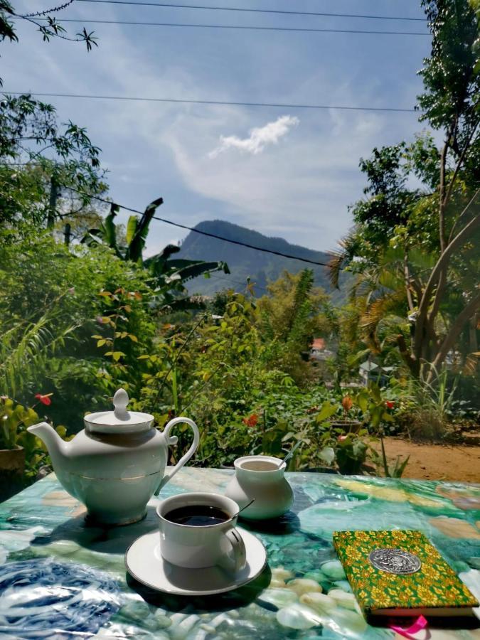 Eden View Ella - Tour Options In The Area 호텔 외부 사진