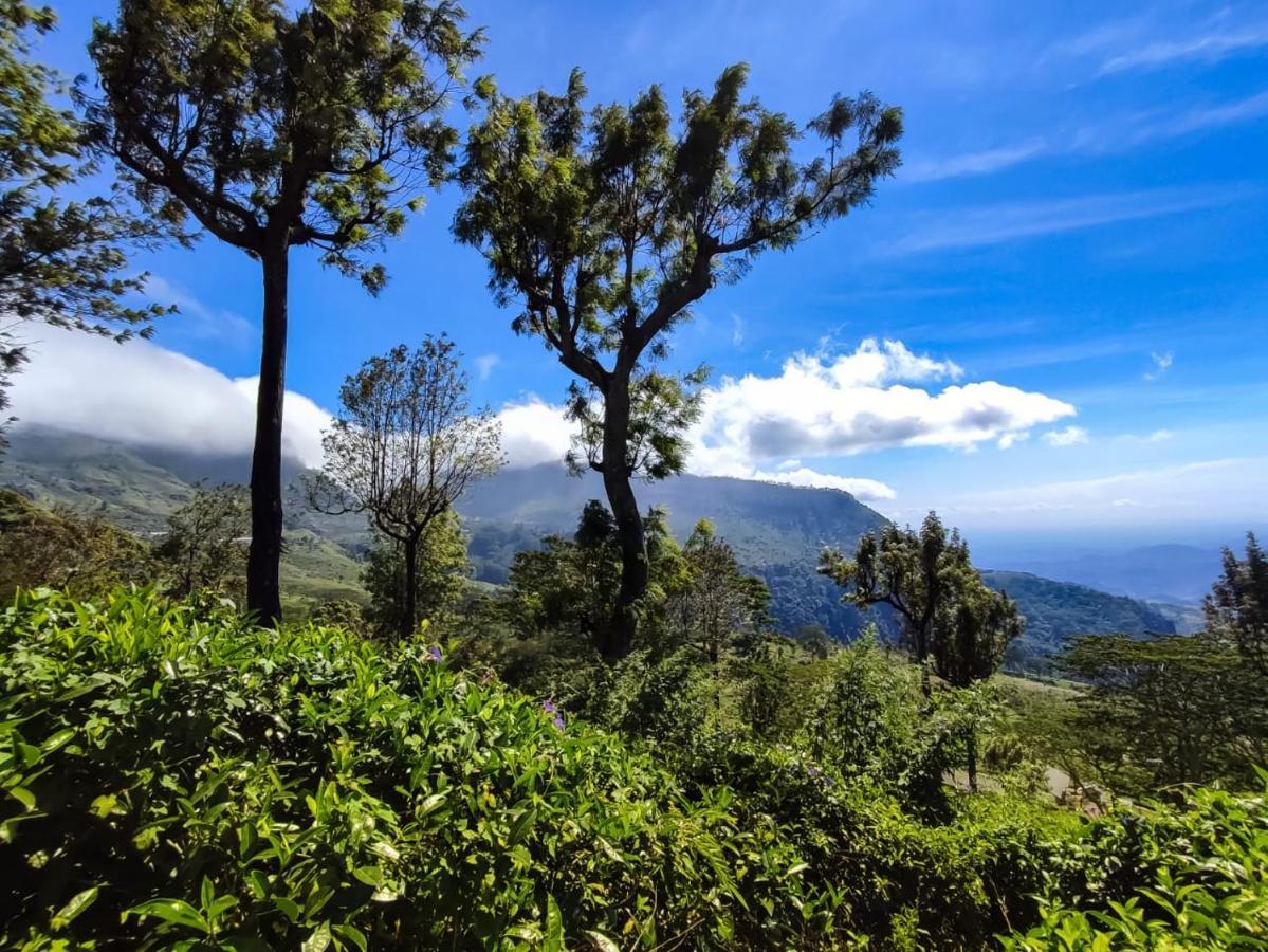 Eden View Ella - Tour Options In The Area 호텔 외부 사진